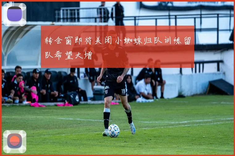 转会窗即将关闭小蜘蛛归队训练留队希望大增
