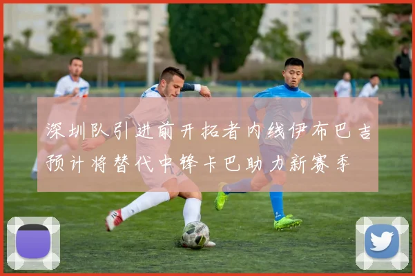 深圳队引进前开拓者内线伊布巴吉预计将替代中锋卡巴助力新赛季